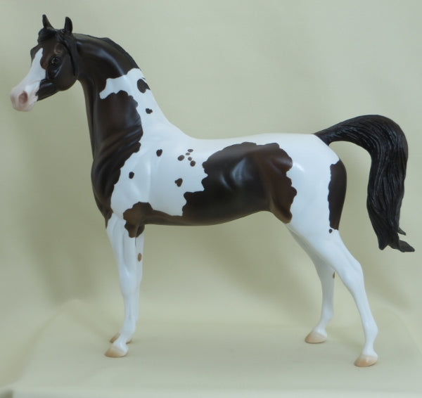 DAFFODILLY - OOAK Dark Bay Pinto Arabian Mare 3/15