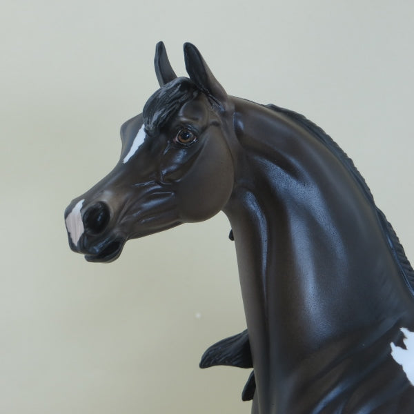 CHICKADEE - OOAK Dark Bay Appaloosa Open Mouth Arabian Mare 3/15