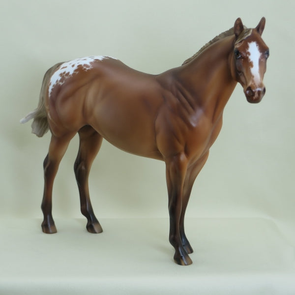 TADPOLE - OOAK Chestnut Blanket Appaloosa with Detailed Etching by Julie Keim - 3/15