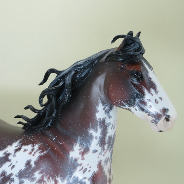 MASTER BLASTER - OOAK Extreme Mapped Bay Pinto with Blowing Strands 4/15