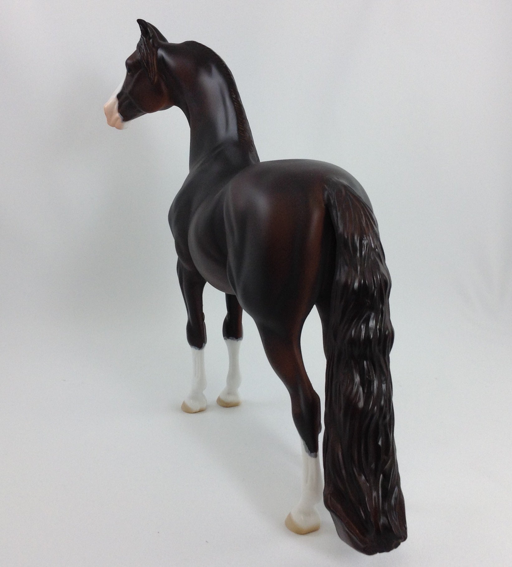 EDGAR - OOAK Morgan With Mapping