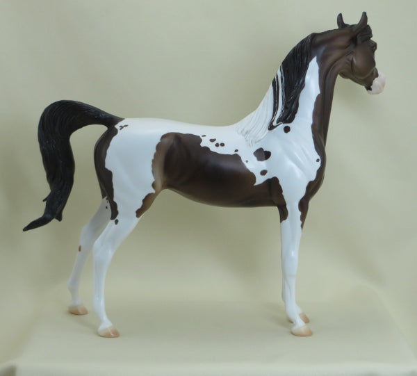DAFFODILLY - OOAK Dark Bay Pinto Arabian Mare 3/15