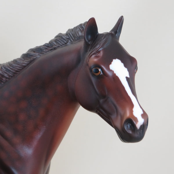 KEEGAN - OOAK Dapple Liver Chestnut Stock Horse 3/15