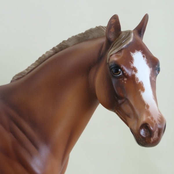 TADPOLE - OOAK Chestnut Blanket Appaloosa with Detailed Etching by Julie Keim - 3/15