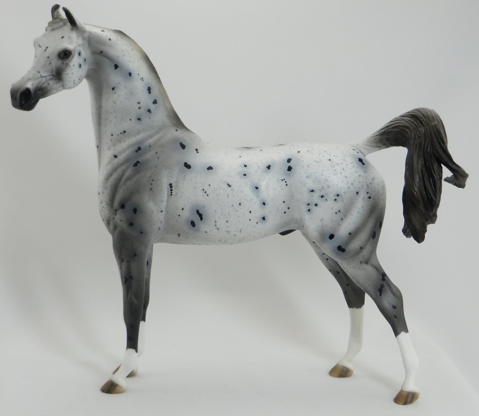 VORTEX - OOAK Appaloosa Arabian Marwari Model Horse - 5/15