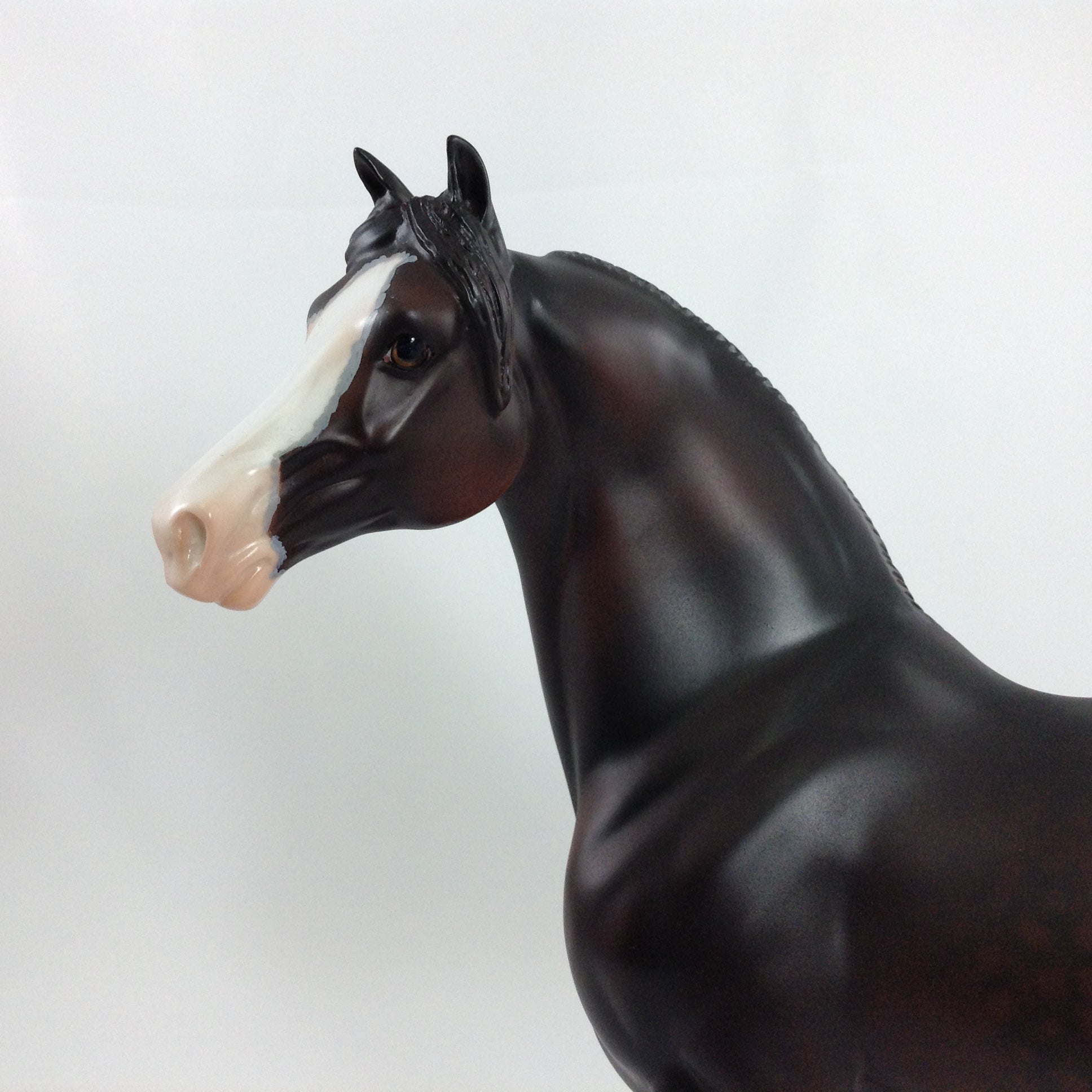 EDGAR - OOAK Morgan With Mapping