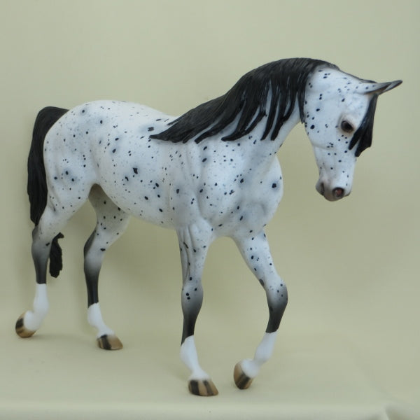PARISIENNE - OOAK Appaloosa Thoroughbred with Long Mane 4/15