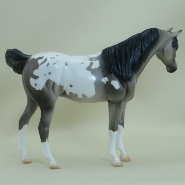 FITZGERALD - OOAK Gray Appaloosa Pebbles Arabian - 3/15