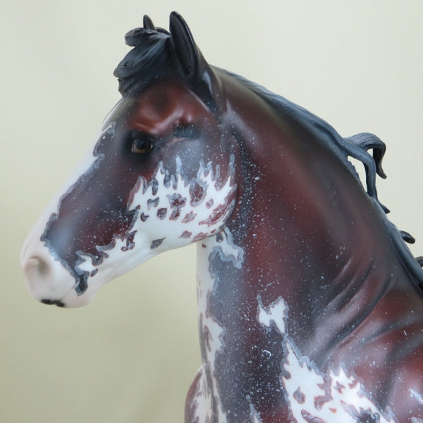 MASTER BLASTER - OOAK Extreme Mapped Bay Pinto with Blowing Strands 4/15