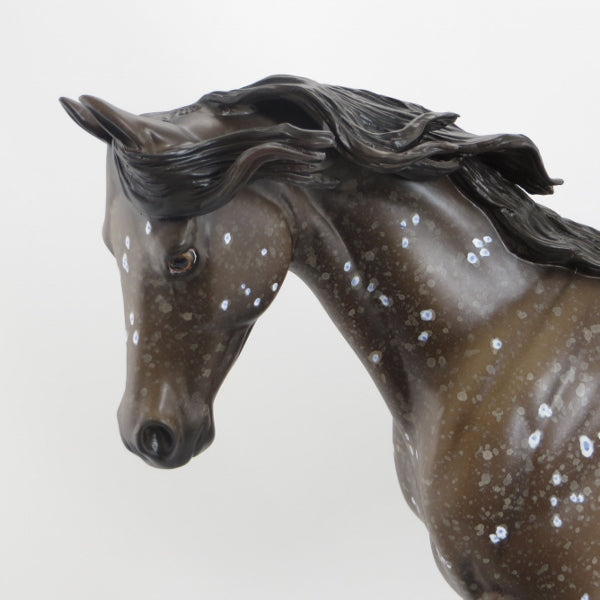 CHOCOE - OOAK Chocolate Dappled Thoroughbred - 5/15