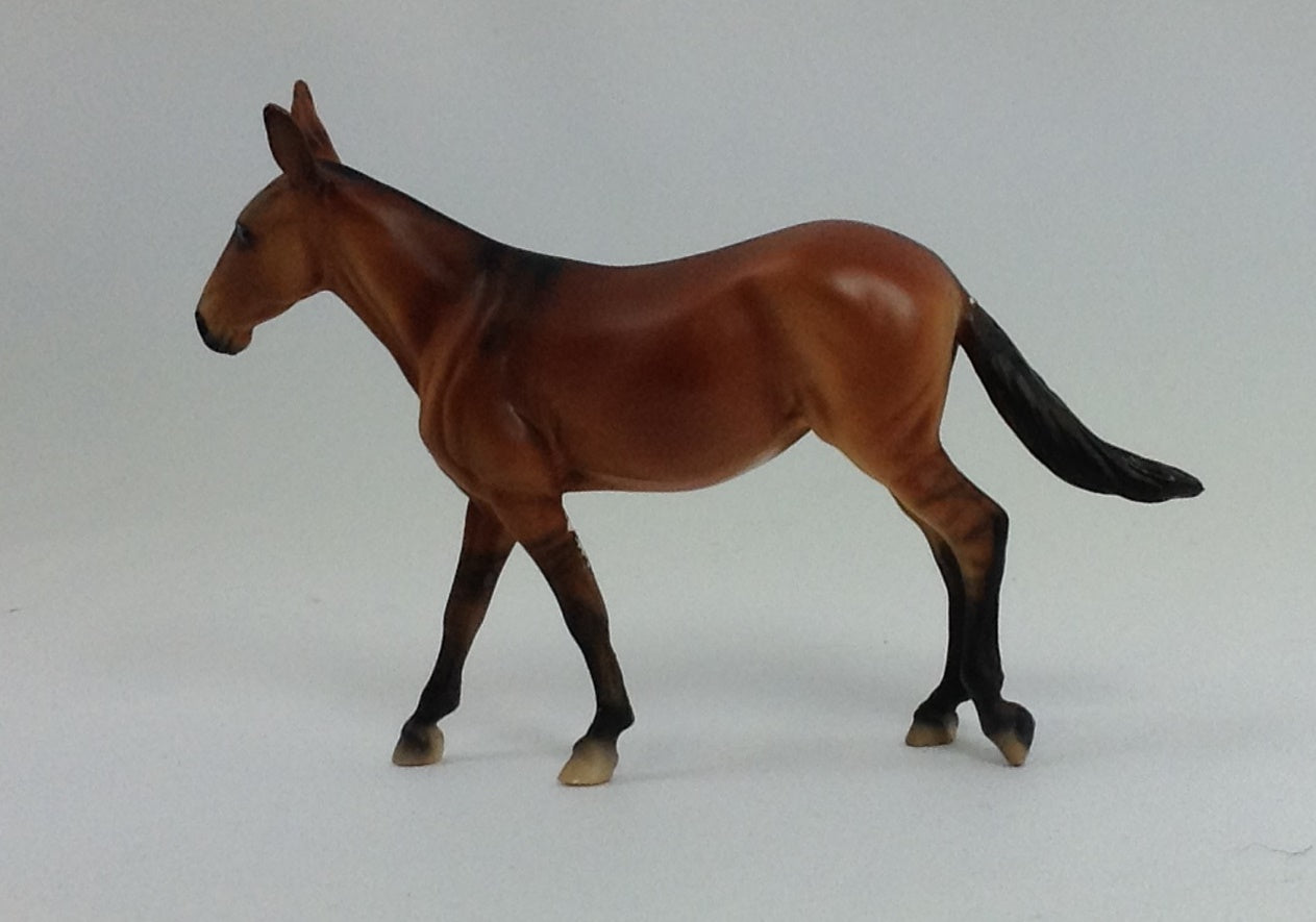 AUTUMN - OOAK Mule Chip with Dorsal Stripe