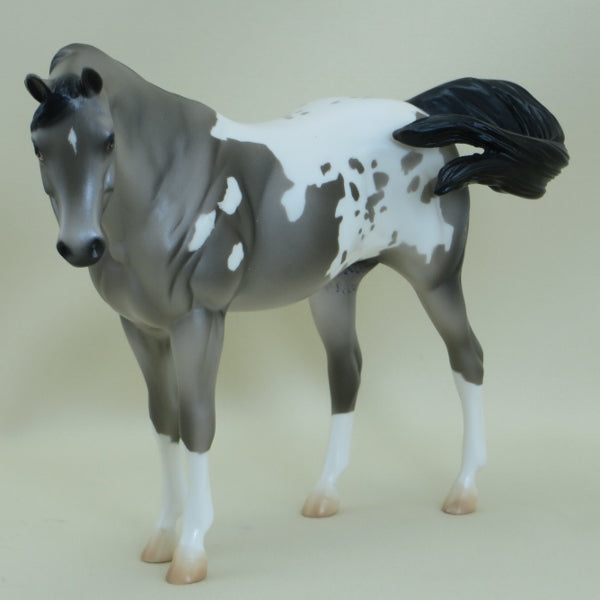 FITZGERALD - OOAK Gray Appaloosa Pebbles Arabian - 3/15