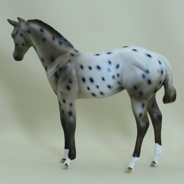 LITTLE DOTTY - Appaloosa with Ratty Mane Weanling LE7 3/15