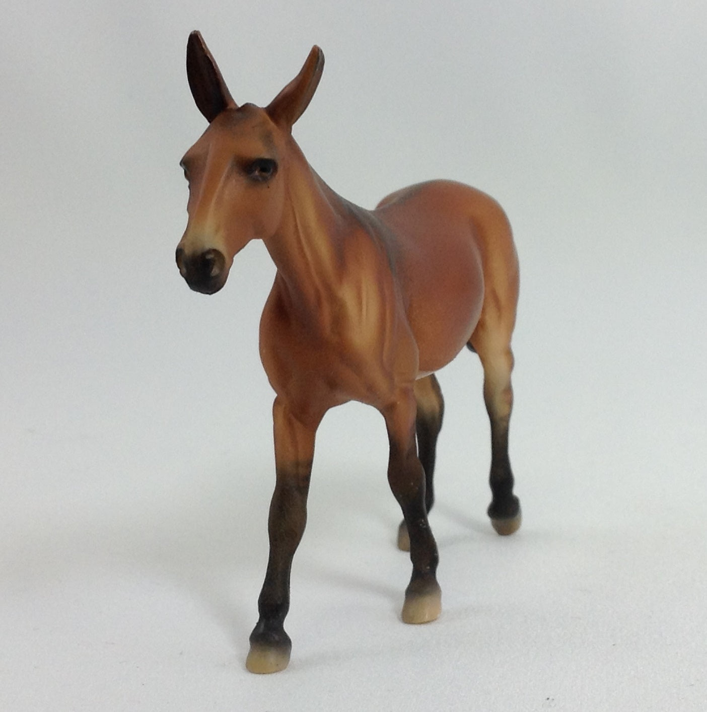 AUTUMN - OOAK Mule Chip with Dorsal Stripe
