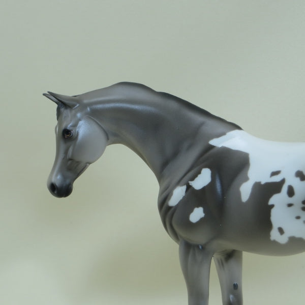 FITZGERALD - OOAK Gray Appaloosa Pebbles Arabian - 3/15