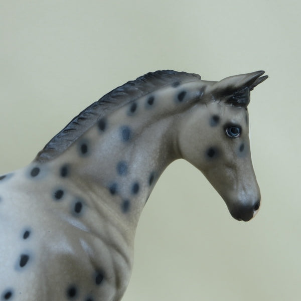 LITTLE DOTTY - Appaloosa with Ratty Mane Weanling LE7 3/15