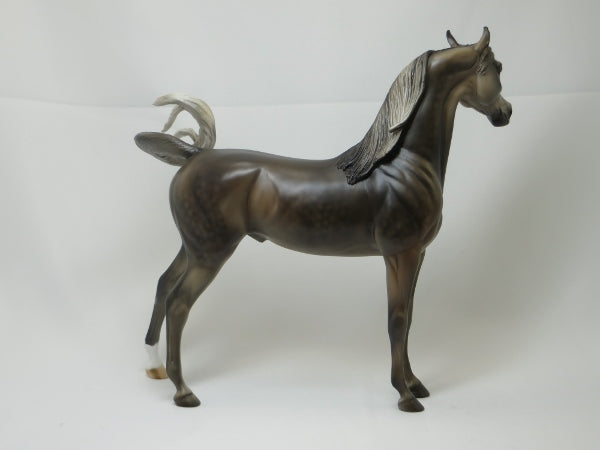 RENEWABLE ENERGY - Dapple Gray Arabian LE10 1/15