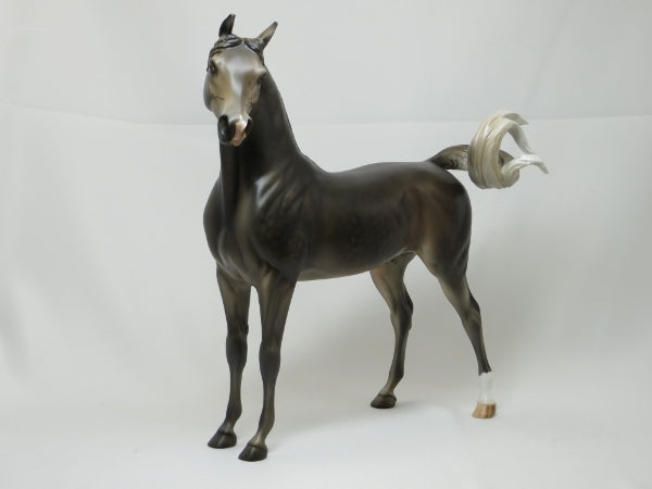 RENEWABLE ENERGY - Dapple Gray Arabian LE10 1/15