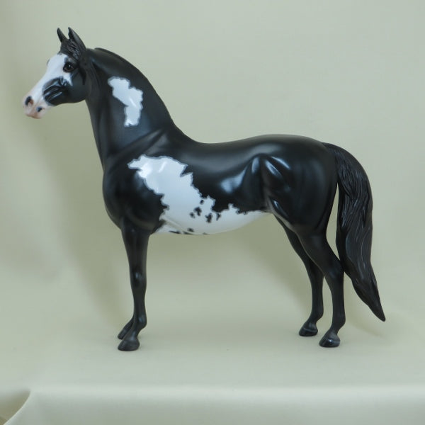 LA CROSSE - OOAK Black Overo Pinto Morgan with Mapping 4/15