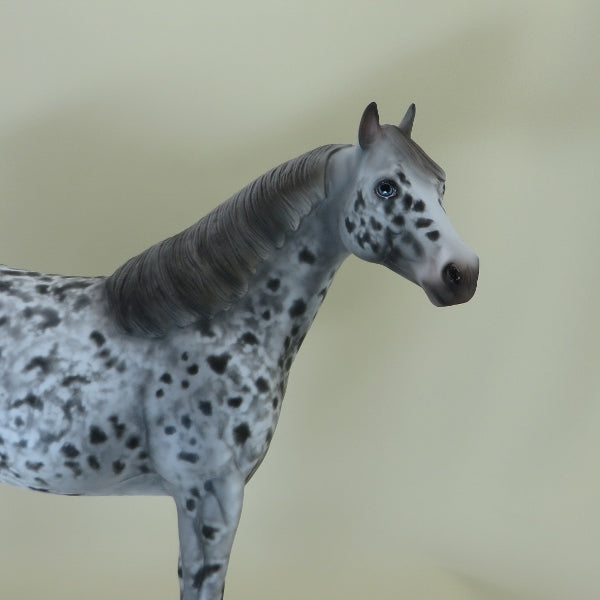 CAPTAIN CRUNCH - OOAK Unique Appaloosa Stock Horse 4/15