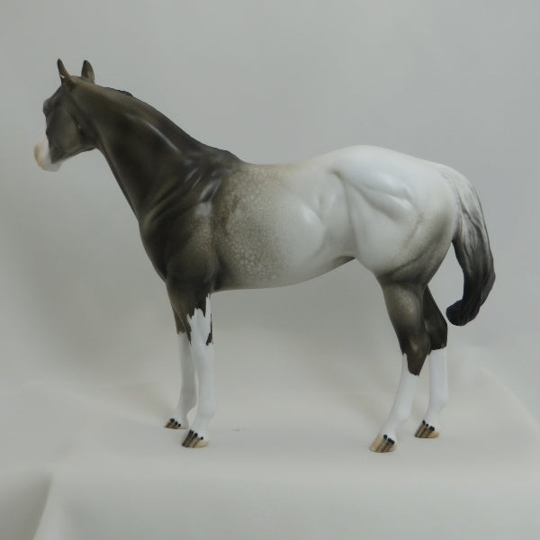 MONGO - OOAK Appaloosa Stock Horse Mare 4/15