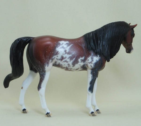 ELECTRA - OOAK Bay Pinto Pebbles Arabian with Mapping 4/15