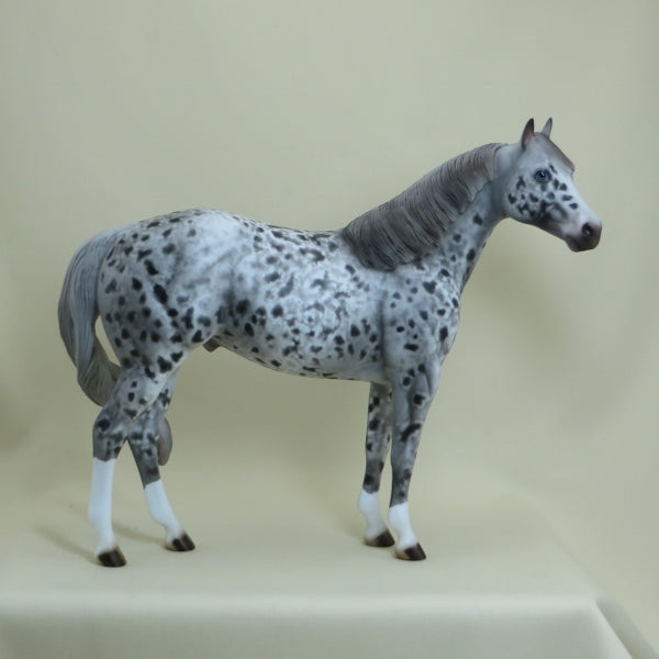 CAPTAIN CRUNCH - OOAK Unique Appaloosa Stock Horse 4/15