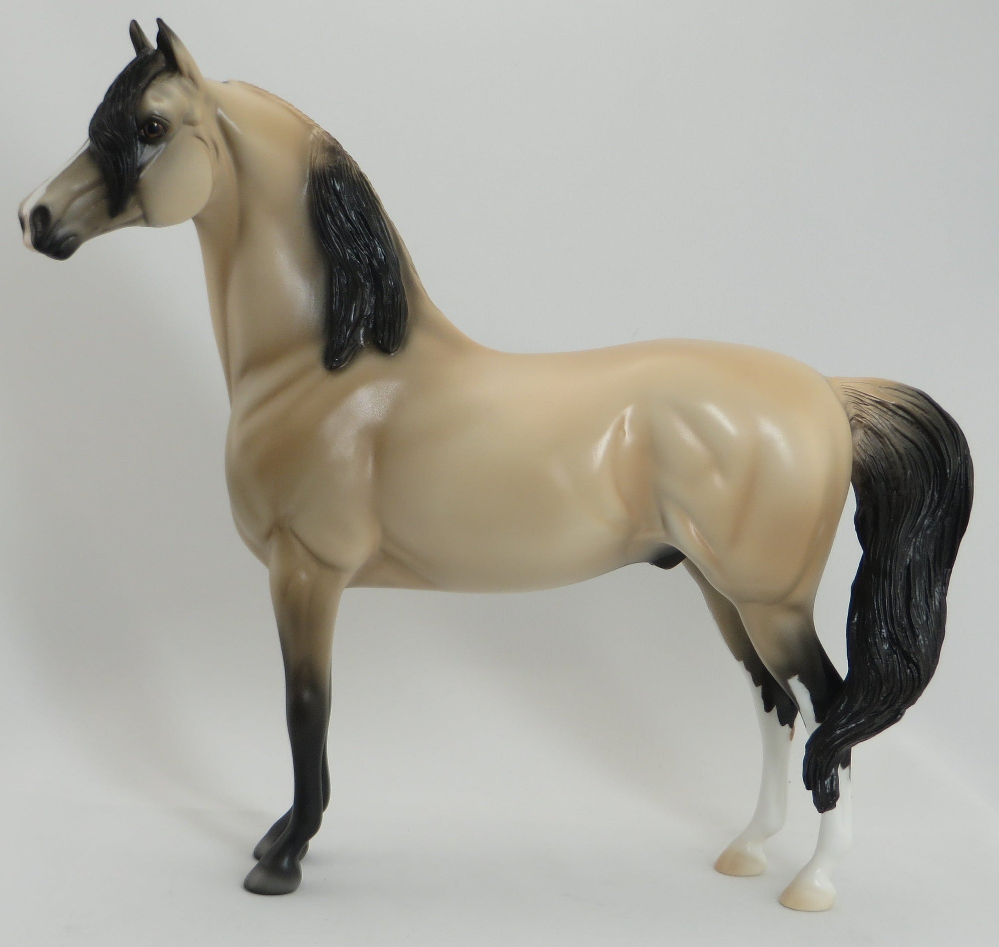 VALERIAN - OOAK Pale Buckskin Morgan 5/15