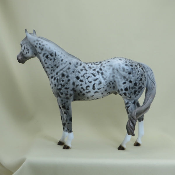 CAPTAIN CRUNCH - OOAK Unique Appaloosa Stock Horse 4/15