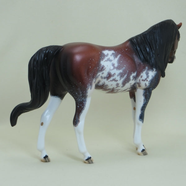 ELECTRA - OOAK Bay Pinto Pebbles Arabian with Mapping 4/15