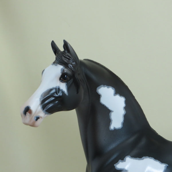 LA CROSSE - OOAK Black Overo Pinto Morgan with Mapping 4/15