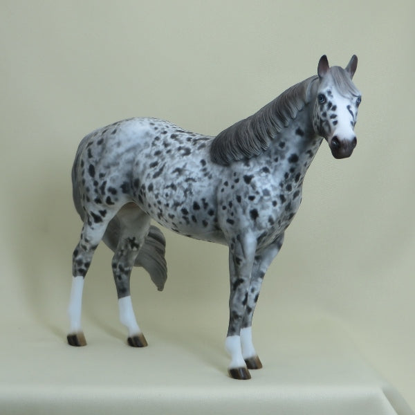 CAPTAIN CRUNCH - OOAK Unique Appaloosa Stock Horse 4/15