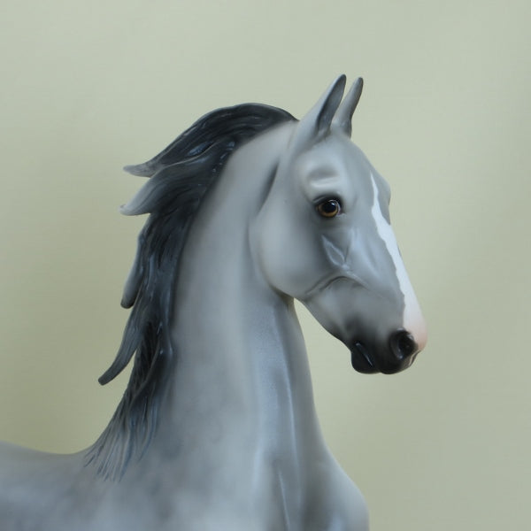 MACCABE - OOAK Dapple Gray Saddlebred with Lifted Tail - 3/15