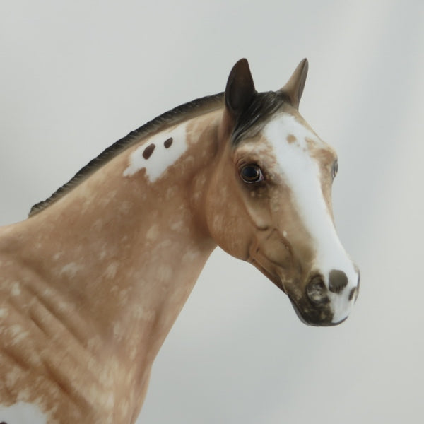 SKY HAWK - OOAK Varnish Roan Appaloosa Stock Horse by Sheryl Leisure - 5/15