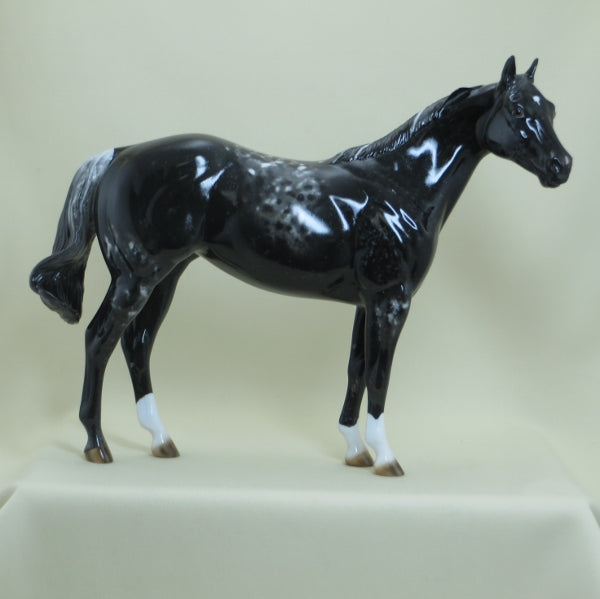 NIGHTSHADE CRUNCH - OOAK Appaloosa Stock Model Horse - 4/15