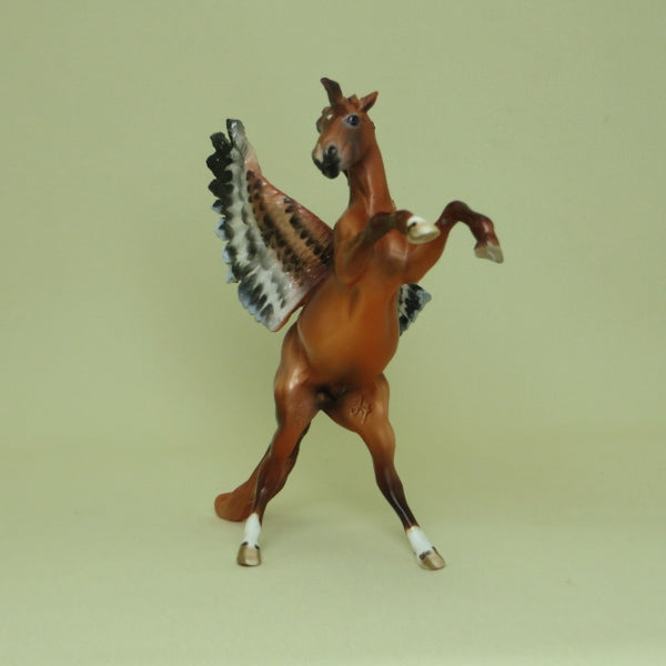 FALCON - OOAK Chestnut Pegasus Rearing Chip 4/15