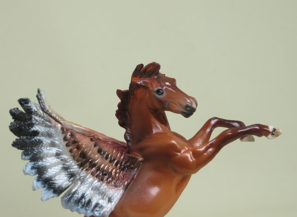 FALCON - OOAK Chestnut Pegasus Rearing Chip 4/15