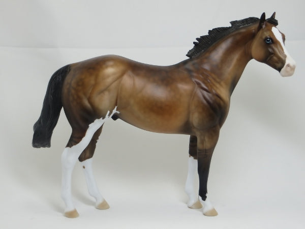 CAPTAIN AMERICA - OOAK Dapple Bay Dun Stock Horse 2/15