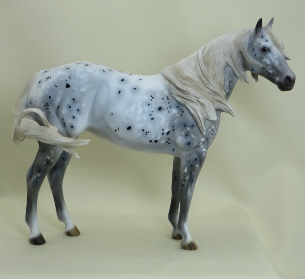 METEOR SHOWER - OOAK Appaloosa Stock Horse 3/15