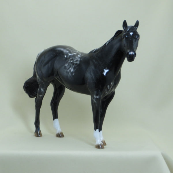 NIGHTSHADE CRUNCH - OOAK Appaloosa Stock Model Horse - 4/15