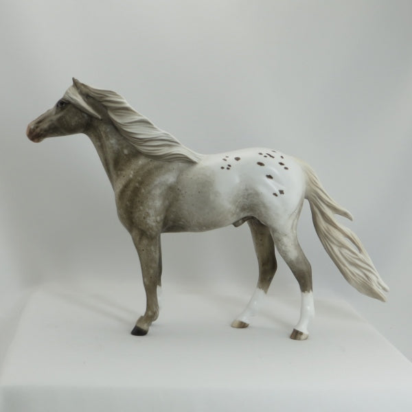 PIERCE ARROW - OOAK Roan Appaloosa Mustang by Sheryl Leisure - 5/15