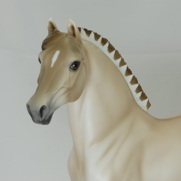 KARI (GUST OF WIND) - Cream Dun (ULSBLAKK) Fjord Mix Morgan E4 2/15