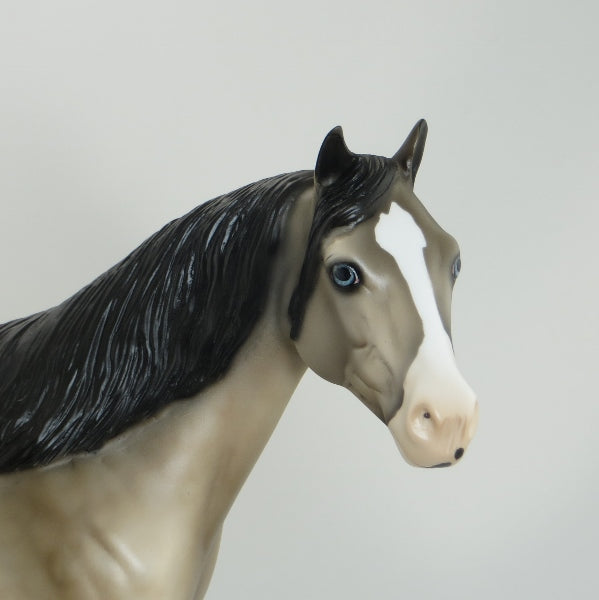 SAPATA DANCING BEAR - OOAK Buckskin Stock Model Horse - 5/15