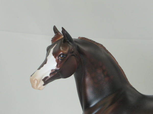 CF (COFFEE FREAK) - OOAK Dapple Dark Liver Chestnut Pinto Morgan 2/150