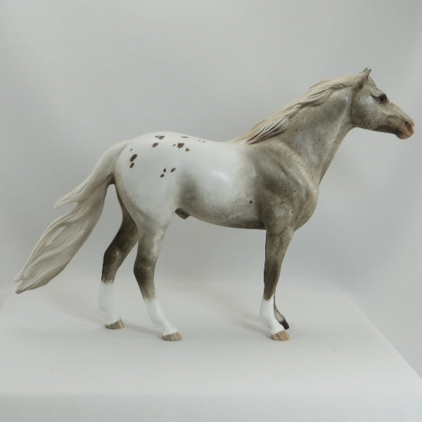 PIERCE ARROW - OOAK Roan Appaloosa Mustang by Sheryl Leisure - 5/15