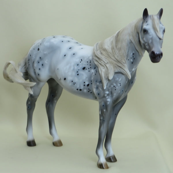 METEOR SHOWER - OOAK Appaloosa Stock Horse 3/15