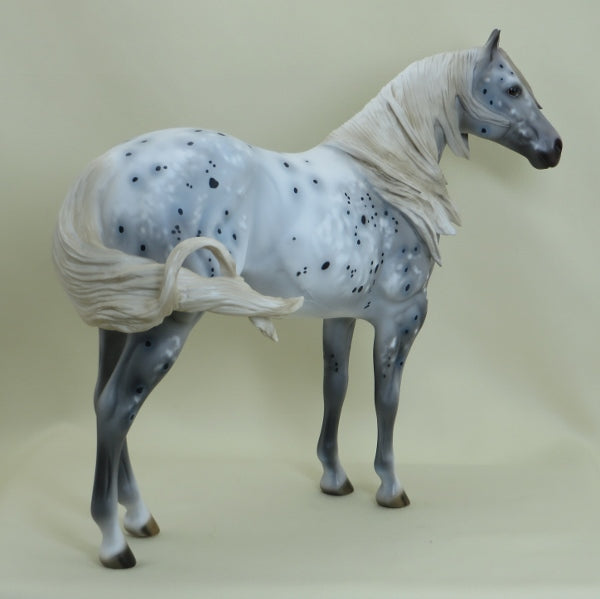 METEOR SHOWER - OOAK Appaloosa Stock Horse 3/15