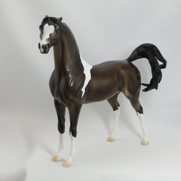 MAMA CAN YOU HEAR ME - OOAK Seal Bay Pinto Pinned Ear Arabian - 5/15