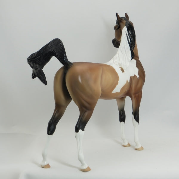 JEKYLL - OOAK Dapple Sooty Buckskin Tobiano Arabian by D'Arry Jone Frank - 5/15
