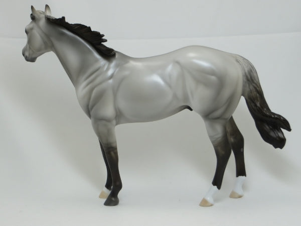 UNBROKEN - Silver Dun Grulla Stock Horse LE6 2/15